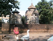 Gangeswara 1